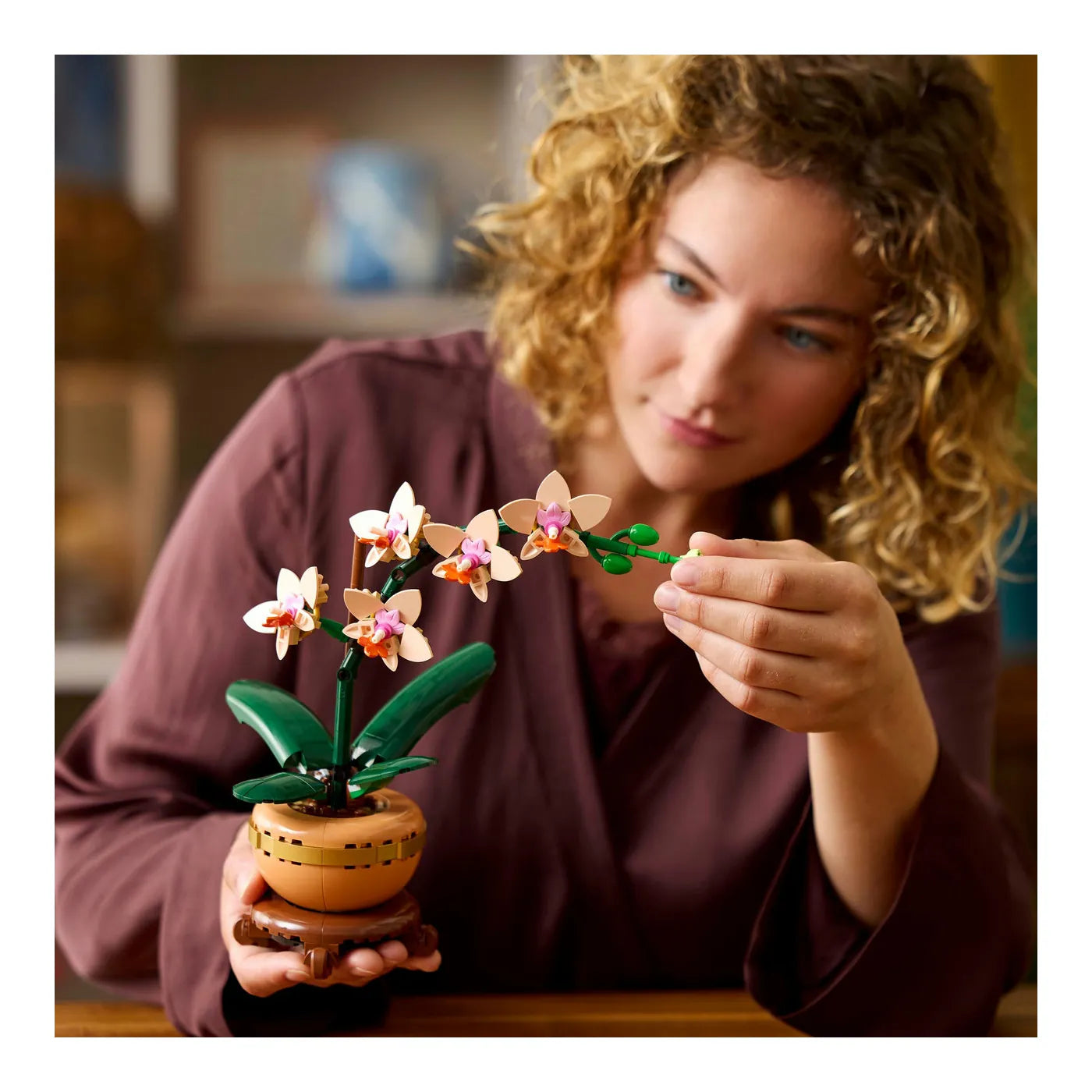 LEGO® Botanicals 10343 Mini-Orchidee